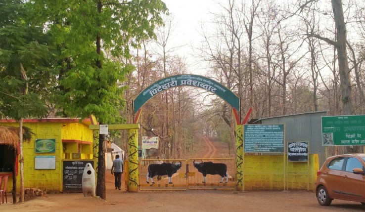 maharashtra tourism nagzira