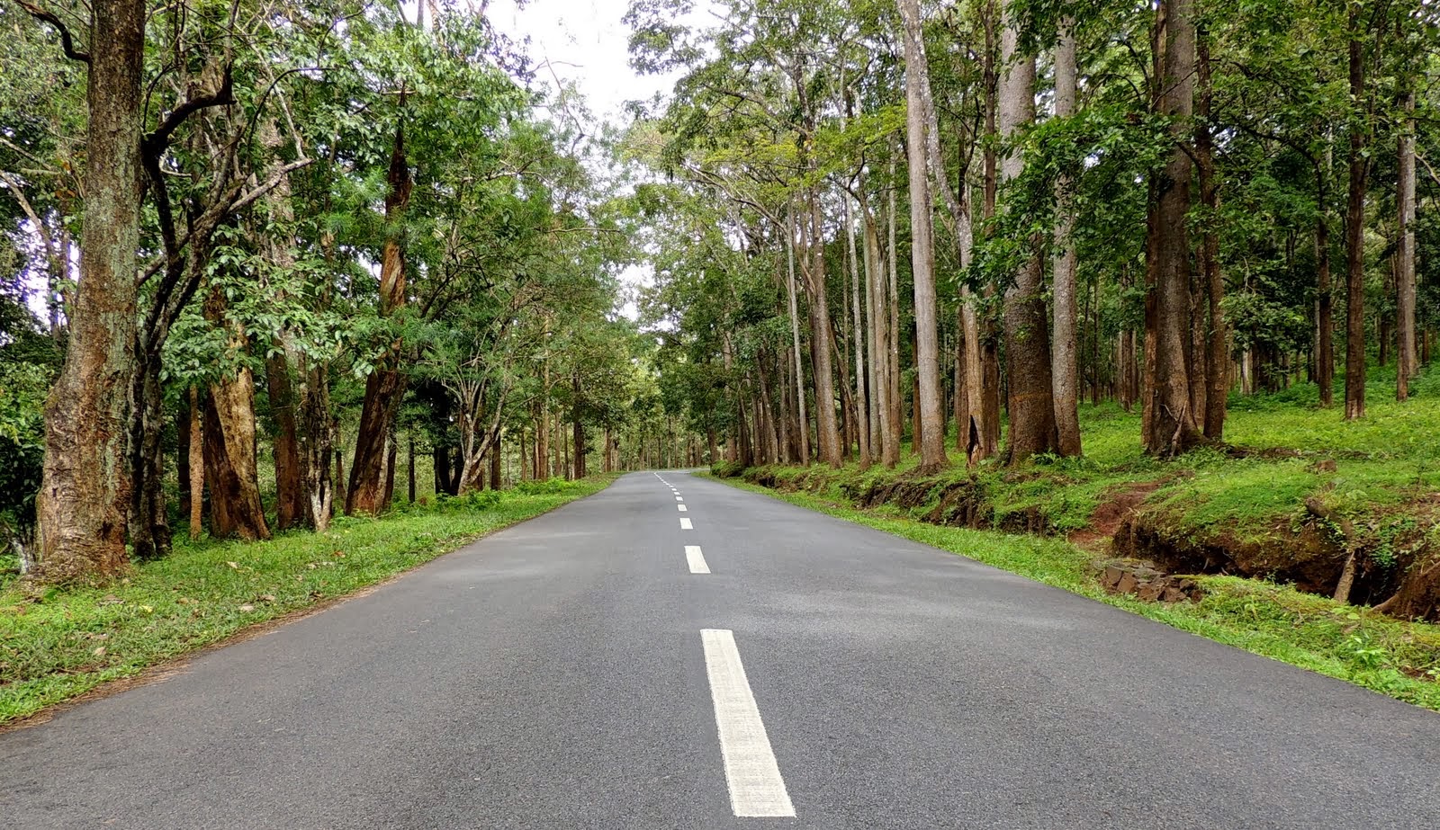 Wayanad - Kerala