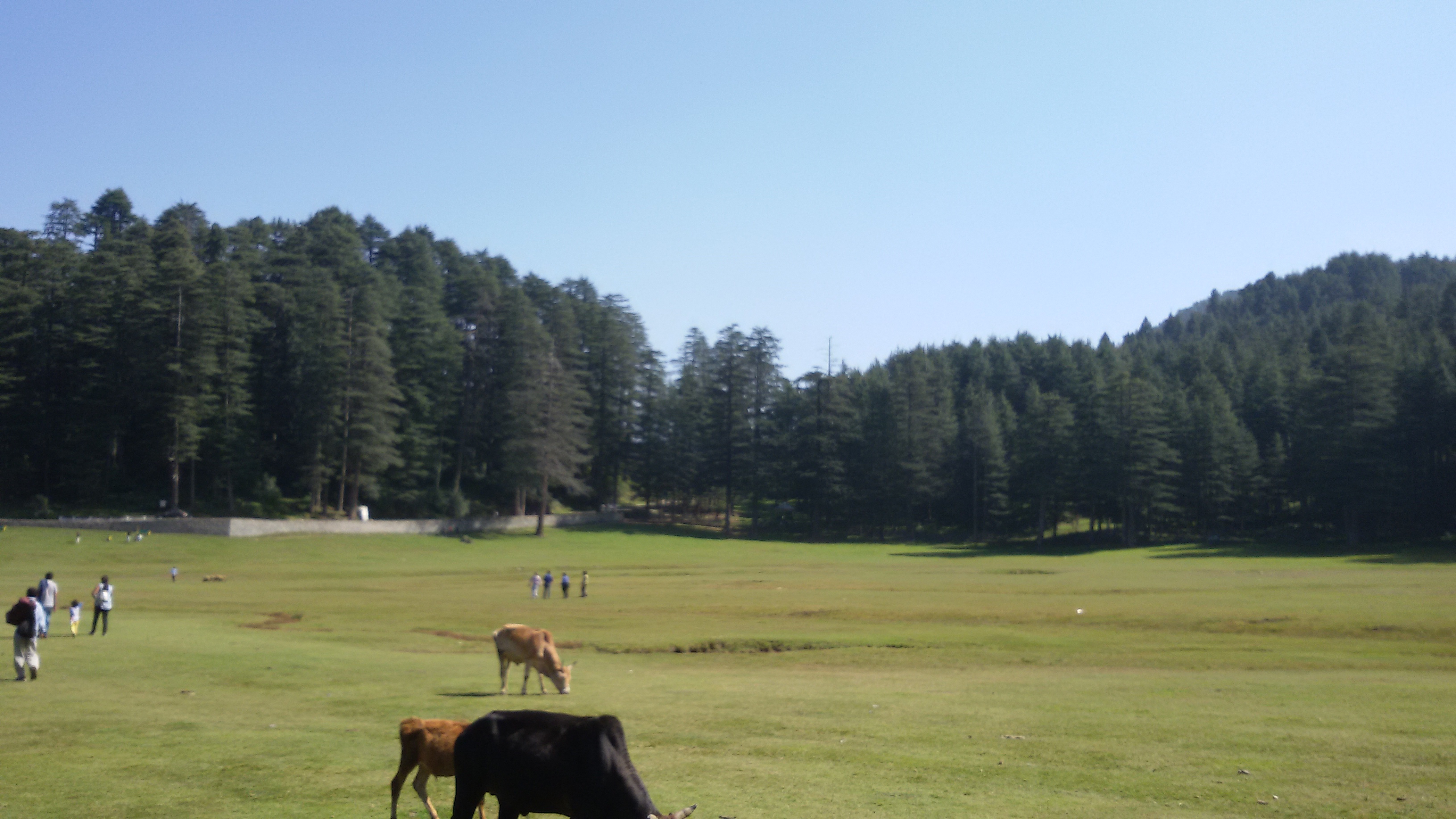 Dalhousie - Himachal Pradesh, India