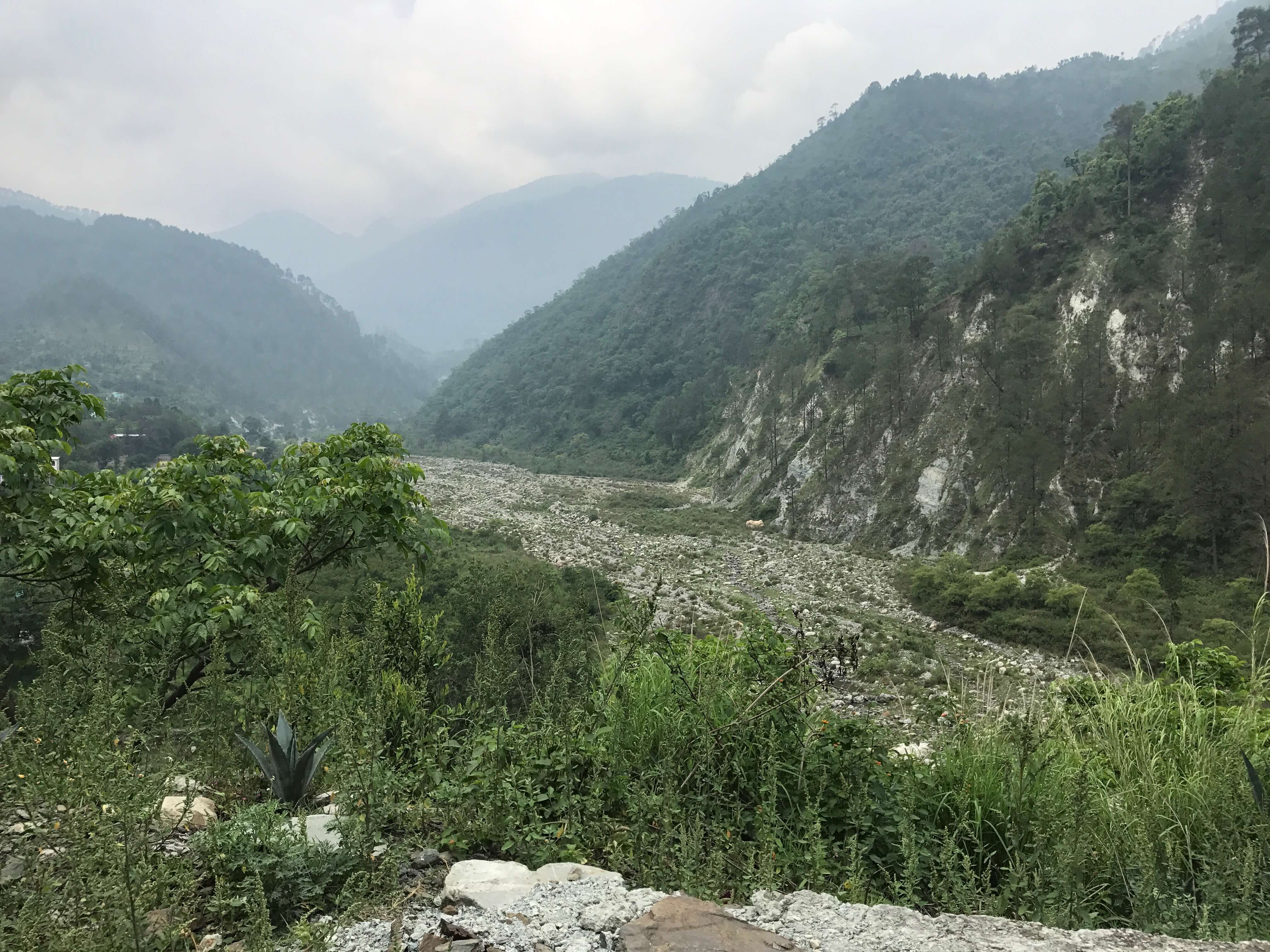 Ranikhet - Uttarakhand, India