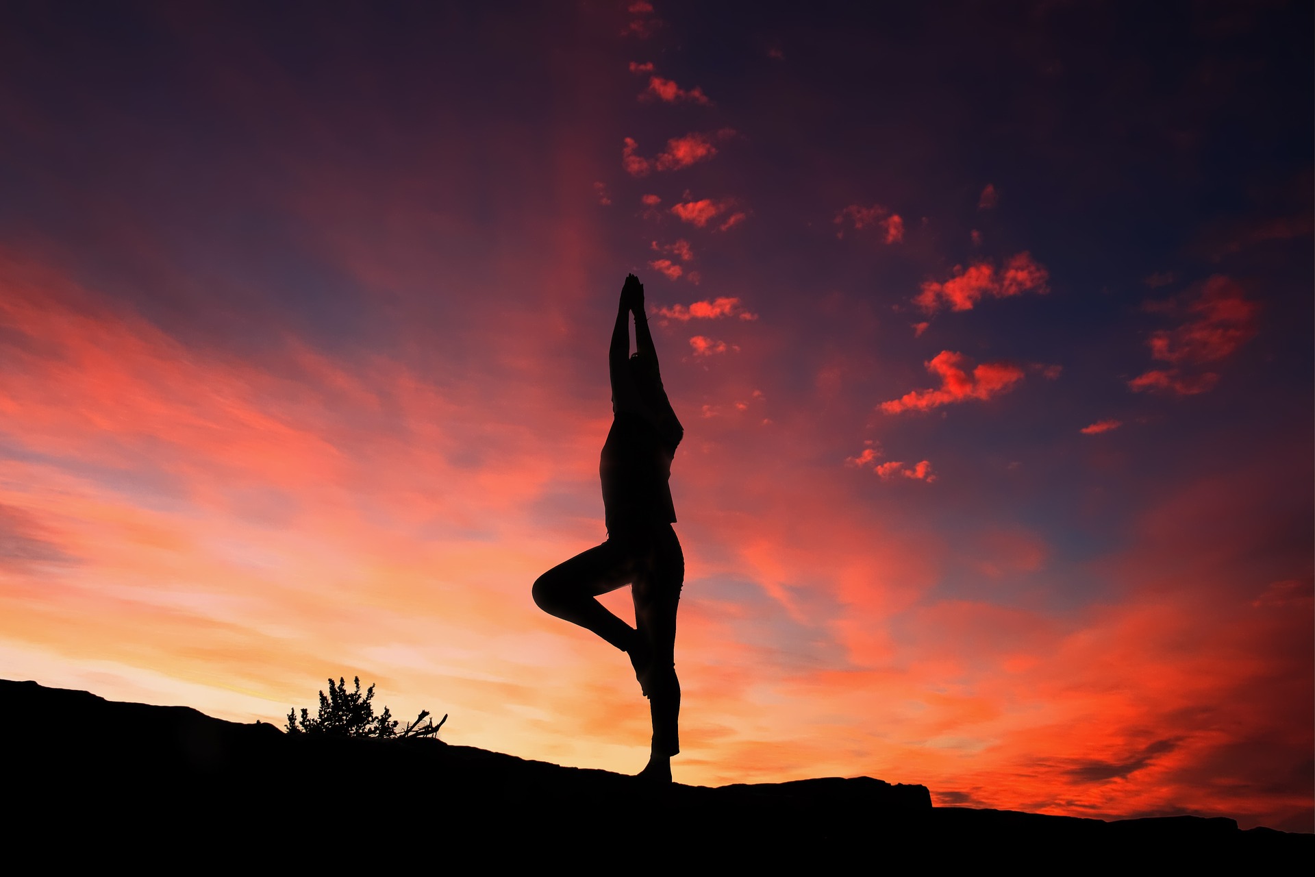 Yoga - Ganga Lahari, Haridwar, India