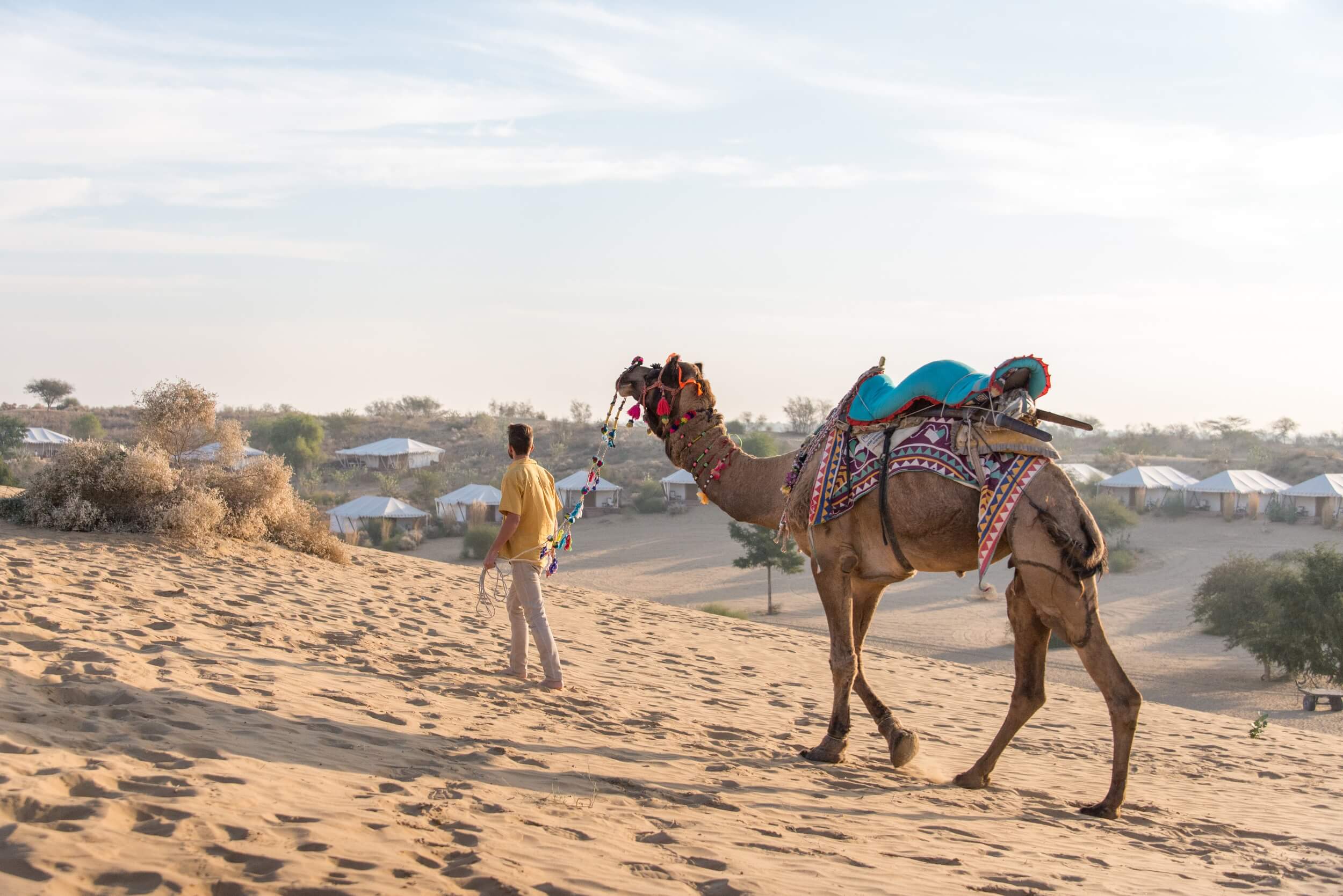 Camel Safari - Dechu Village Jodhpur Rajasthan India