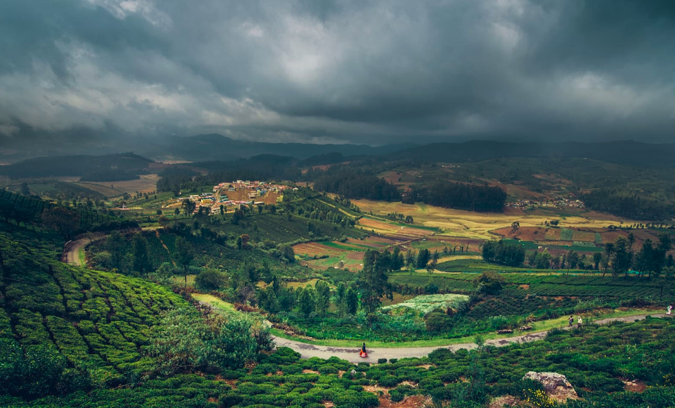 Ooty Family Get-together | Trip Night