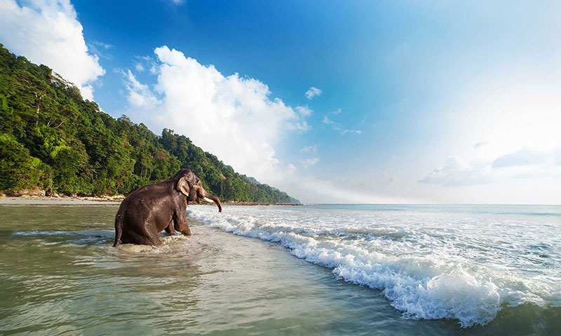 Andaman Nicobar Elephant Beach