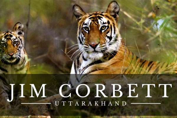 Jim Corbett, Uttarakhand