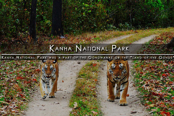 Kanha National Park