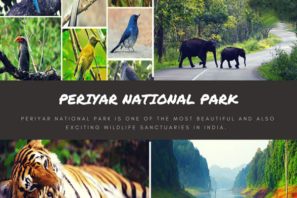 Periyar Wildlife Sanctuary, Kerala