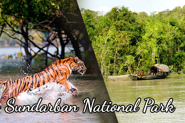 Sunderbans National Park, West Bengal