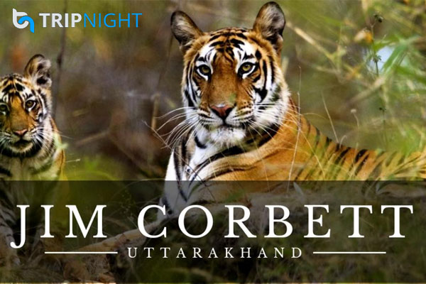 Jim Corbett National Park is one of the oldest national parks in India.