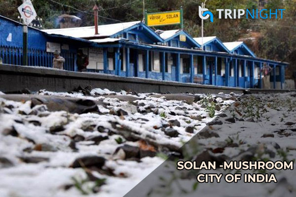 Solan is known as Mushroom capital of India