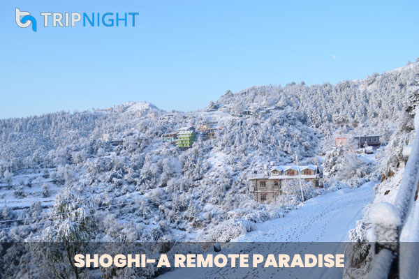 Shoghi is an offbeat hill station of Himachal Pradesh